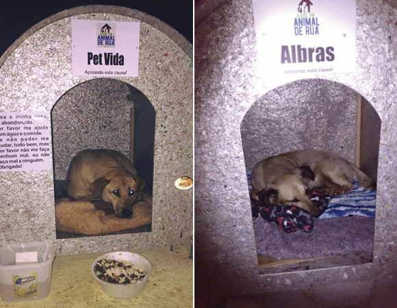 casinhas_para_animais_abandonados