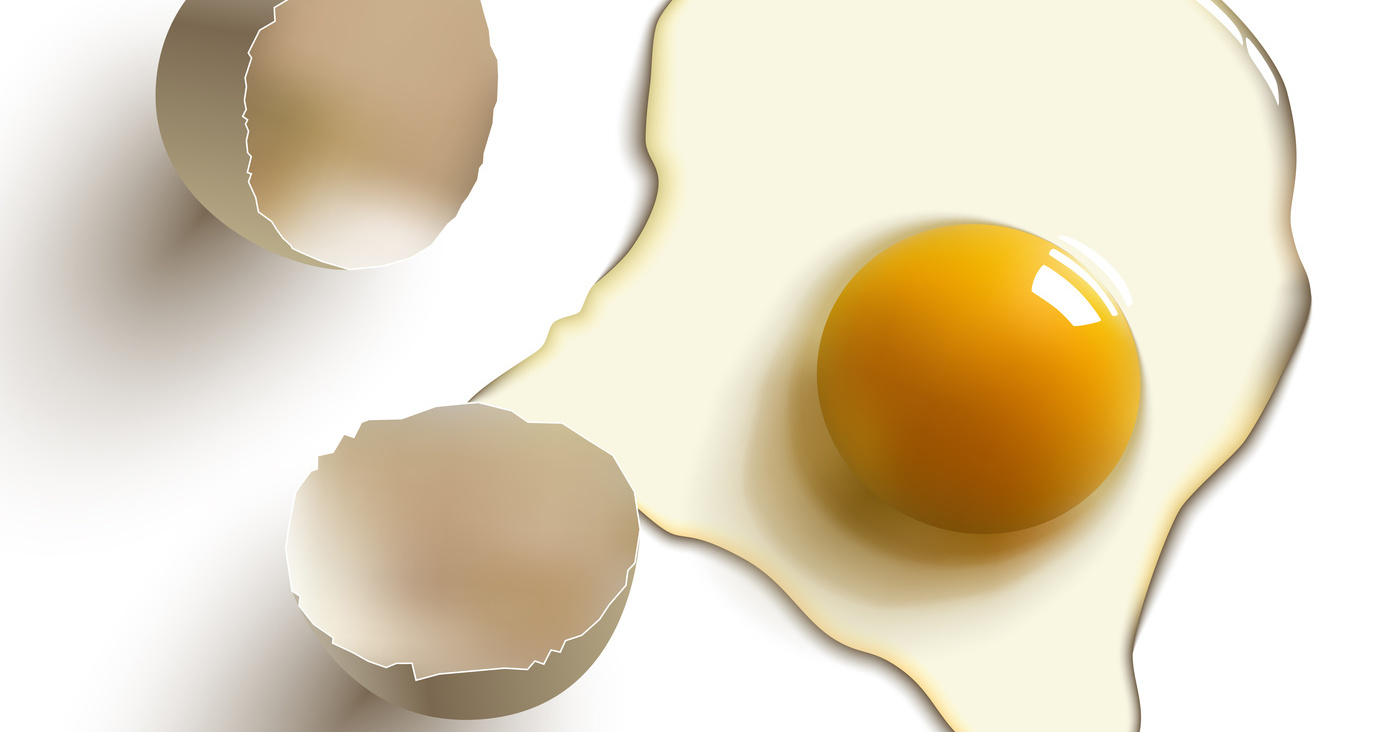 cracked raw egg, shell, yolk and albumen