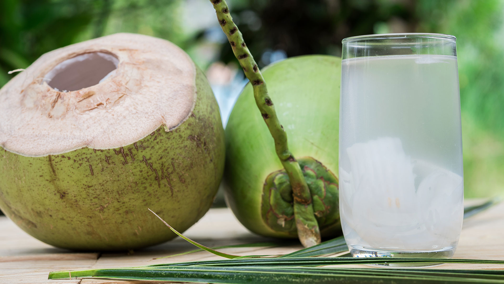 Água de coco diminui a ressaca? Conheça 6 benefícios da bebida para a Agua De Coco Para Aumentar Liquido Amniotico