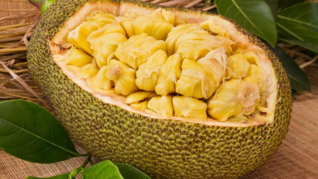 Pé na jaca? Fruta não corresponde a essa má fama: conheça 6 benefícios ...