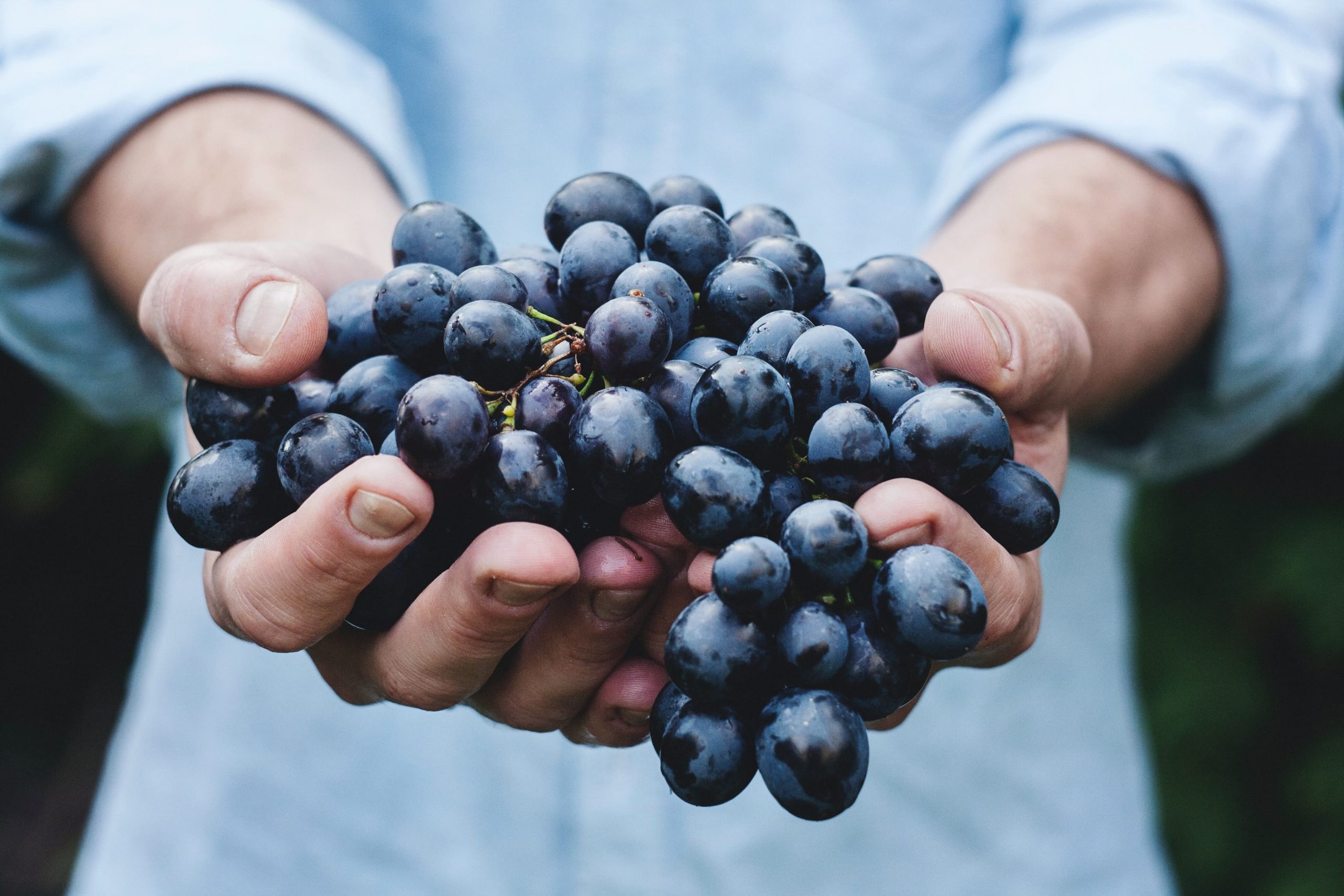 Uva melhora saúde cardíaca: veja 6 benefícios da fruta e como consumi-la –  Saúde &amp; Vitalidade