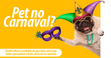 Carnaval é pra pet? Veja quais cuidados você precisa ter com cães e gatos na folia