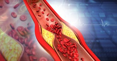 HDL, LDL e mais: veja que é preciso saber sobre colesterol