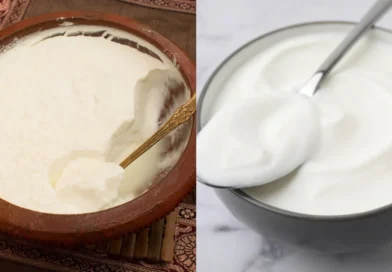 Iogurte ou coalhada: qual a melhor escolha para a sua saúde?