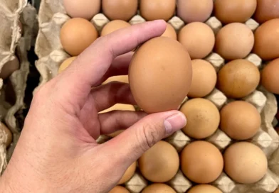 O teste de 3 segundos para saber se o ovo está podre antes de quebrar