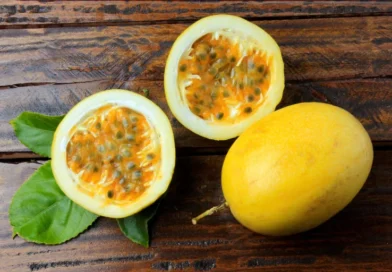 É verdade que maracujá acalma? Veja benefícios da fruta