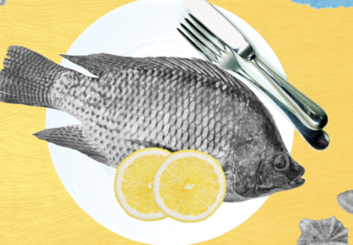 Do ômega-3 à proteína: 5 peixes para incluir mais vezes na alimentação