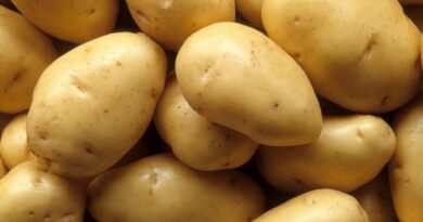 Vilões da dieta? 5 alimentos polêmicos que na verdade protegem o coração