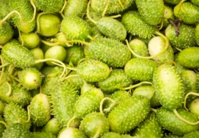 O superalimento esquecido do Brasil que combate a diabetes e ajuda a emagrecer