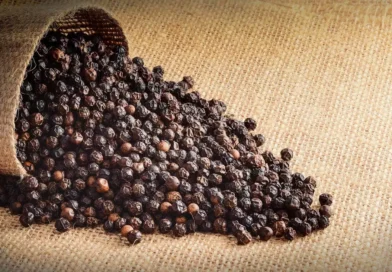 Você usa pimenta-do-reino todos os dias? Conheça os benefícios e os cuidados com a especiaria