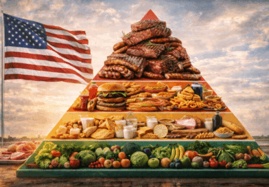 Pesquisa aponta os alimentos que integram a ‘pirâmide alimentar internacional’