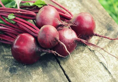 Beterraba: 5 benefícios do alimento para saúde e desempenho físico
