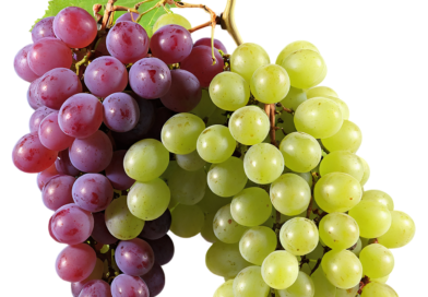 Publicação de Harvard elenca 5 tipos de frutas com propriedades anti-inflamatórias
